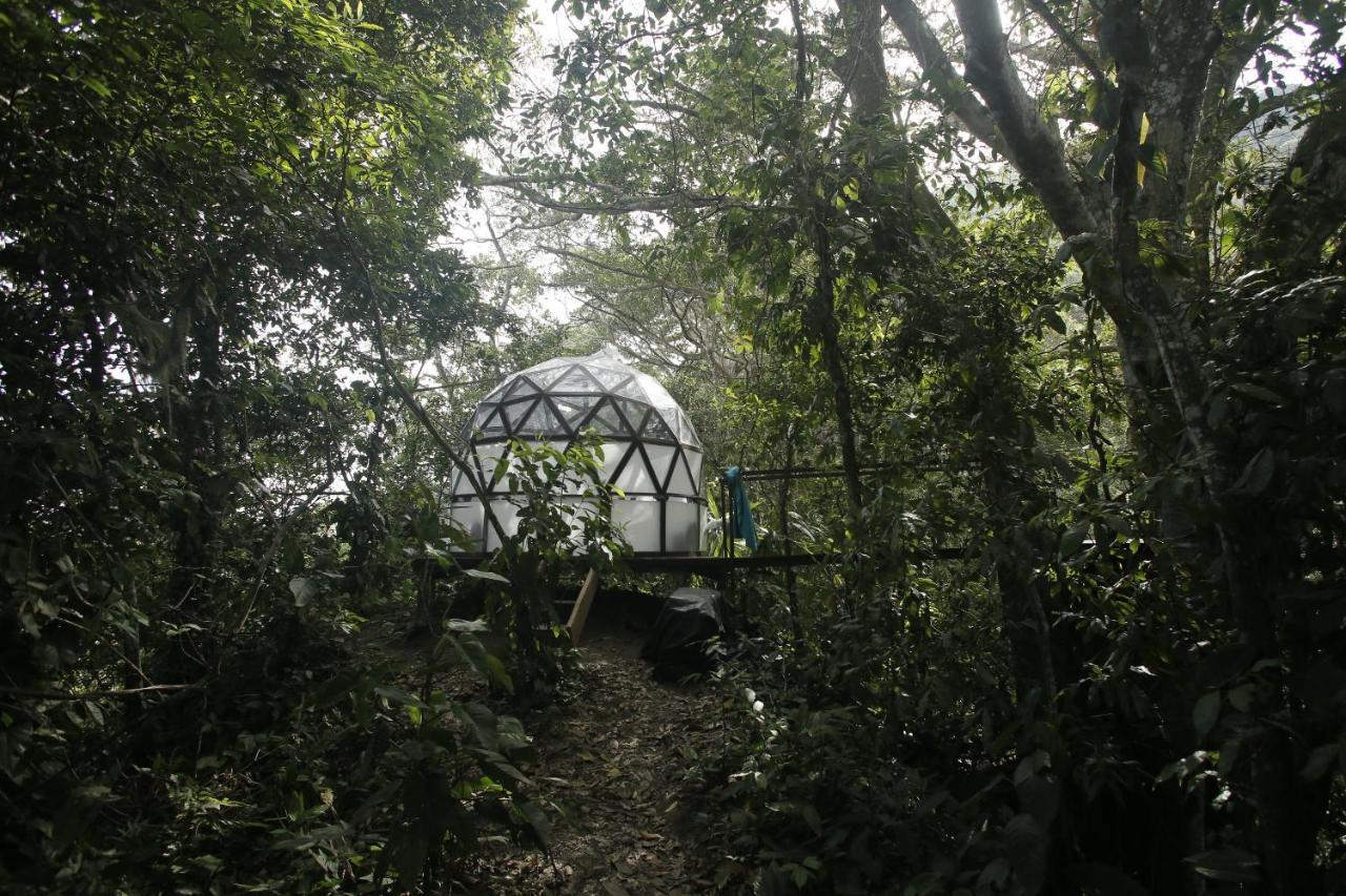 Taorayina Nature Lodge- Immersed In The Forest El Zaino Εξωτερικό φωτογραφία