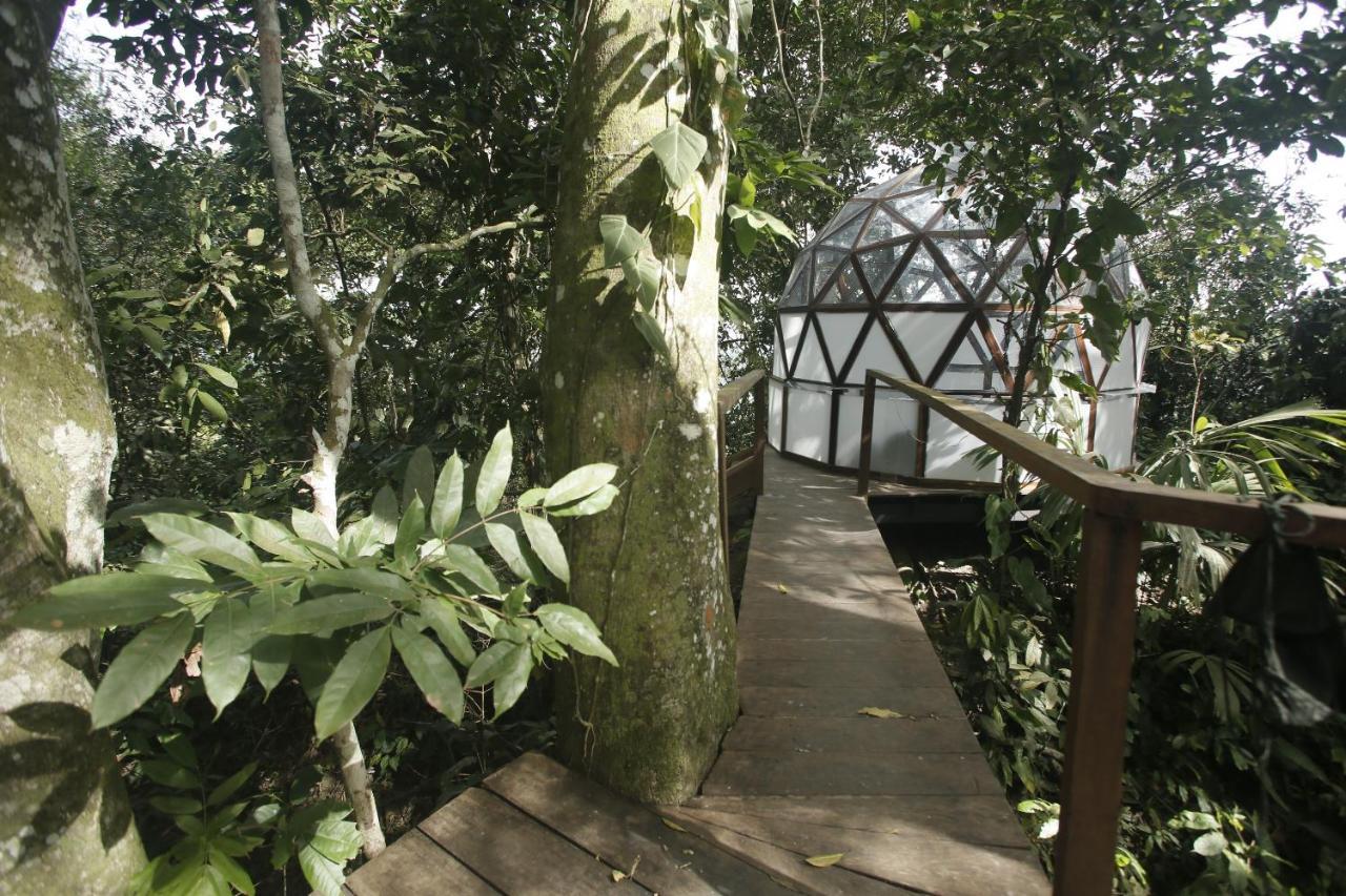 Taorayina Nature Lodge- Immersed In The Forest El Zaino Εξωτερικό φωτογραφία