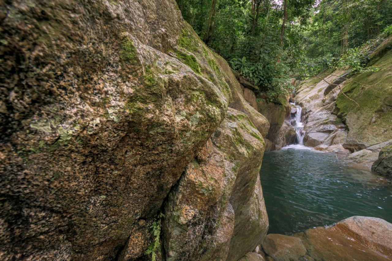 Taorayina Nature Lodge- Immersed In The Forest El Zaino Εξωτερικό φωτογραφία