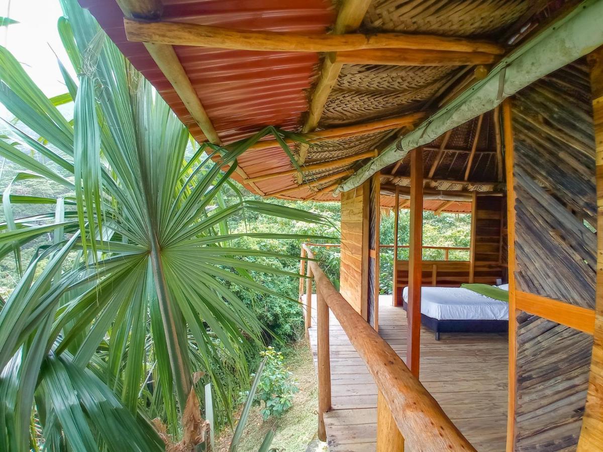 Taorayina Nature Lodge- Immersed In The Forest El Zaino Εξωτερικό φωτογραφία
