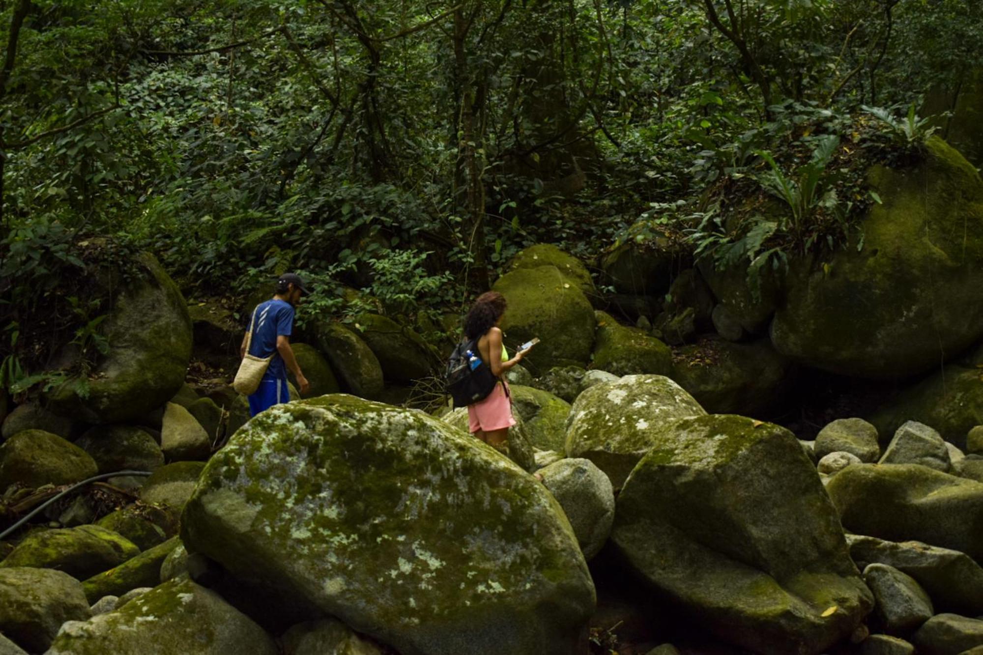 Taorayina Nature Lodge- Immersed In The Forest El Zaino Εξωτερικό φωτογραφία